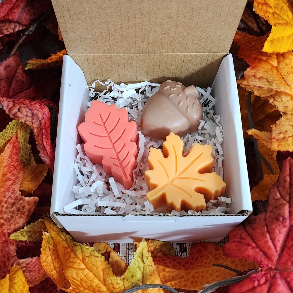 Handcrafted Fall Scented (6-Pack) Soap Bars - Gift - Picture 3 of 3